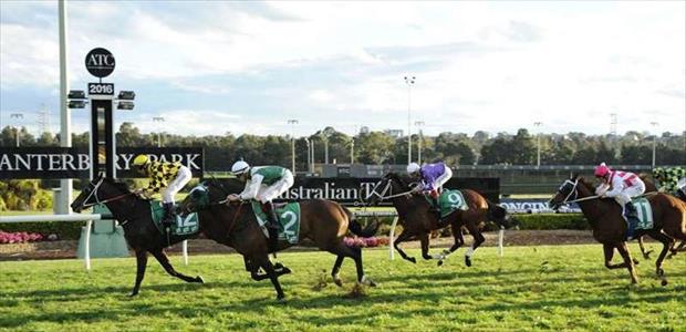 Super Maxi - Canterbury Park - 31/08/2016